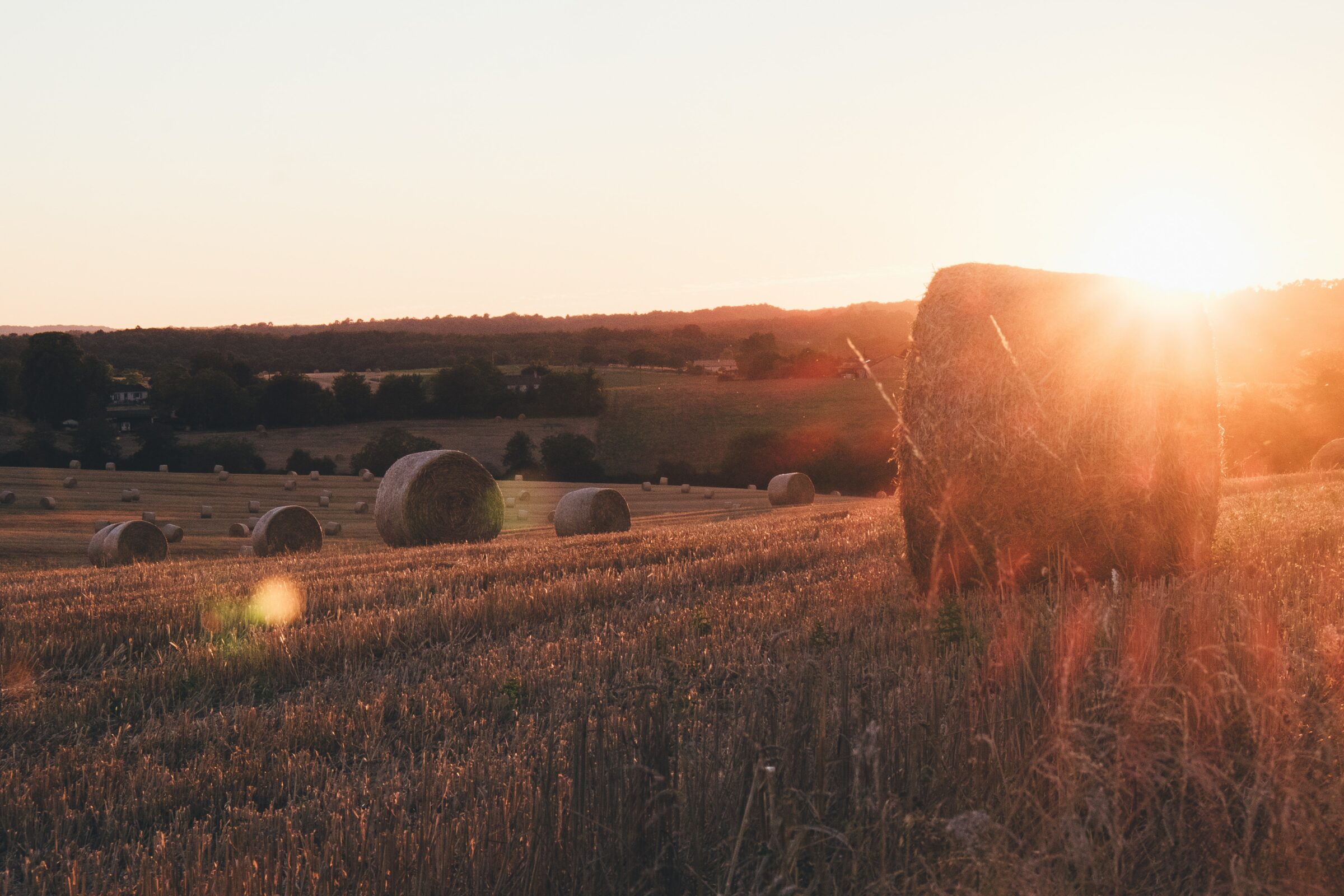 Crop Insurance Basics | 2: YAYC